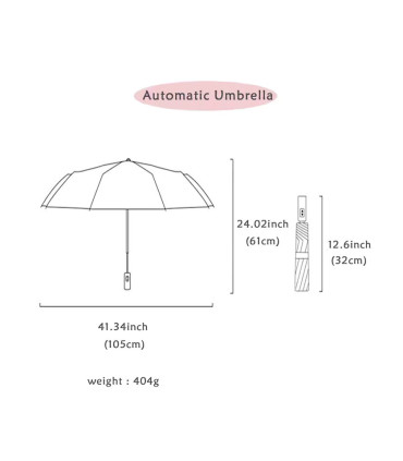 [Grey] Parapluie à double couche entièrement automatique, coupe-vent